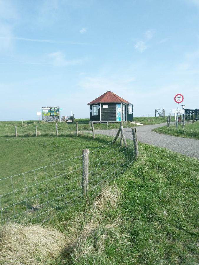 Zeeuwse Zot Bed & Breakfast Wissenkerke Exterior photo